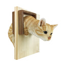 [Cat Master Selection] Wall Hanging Cat Figurine - Cat Tunnel Tabby Cat