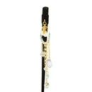 Amaharetsuya Ipponkanzashi (One Hairpin with Rain and Brightness)