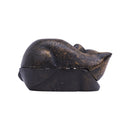 [Cat-themed selection] Antique-style cat accessory case