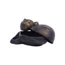 [Cat-themed selection] Antique-style cat accessory case