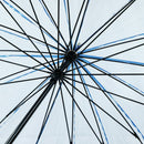 Kiwami 16-rib transparent umbrella - blue (Kiwami 16-rib vinyl umbrella - blue) 