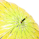 Japanese-style natural bamboo 16-rib transparent umbrella with chrysanthemum cut glass base (Japanese-style natural bamboo 16-rib transparent vinyl umbrella with chrysanthemum cut glass base)