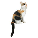[Cat Master Selection] Cat Figurine - Sitting