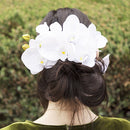 花衣冠簪‐胡蝶蘭