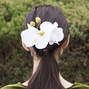 花衣冠簪‐胡蝶蘭