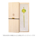Kutani ware single hairpin – chrysanthemum