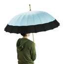 Fuji-snake Eye 24-rib long umbrella - Hydrangea and swallows 