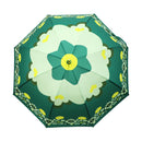 Round-roofed deep umbrella - enamel pot / green (dome umbrella - enamel pot / green) 