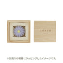 米ぬか練りきり石鹸‐菊